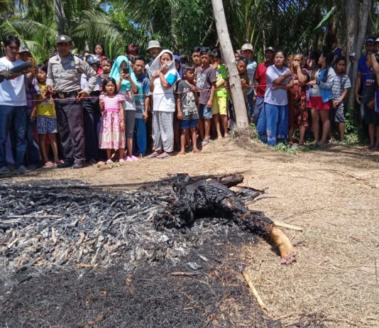 Viralkan! Penemuan Jasad Dengan Kondisi Terbakar IMG 20200125 WA0027